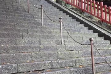 <p>Another way to get to the hill is up these steps</p>