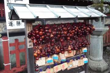 <p>I really don't know what these balls are</p>