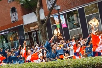 <p>Parading down Omotesando&nbsp;avenue, specially closed for the day.</p>
