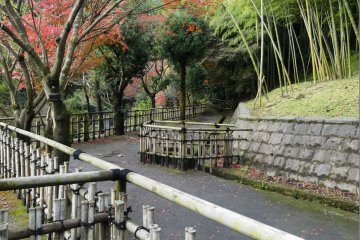 <p>There is a small but lovely bamboo forest at the back edge of the garden that is home to several wild boars</p>