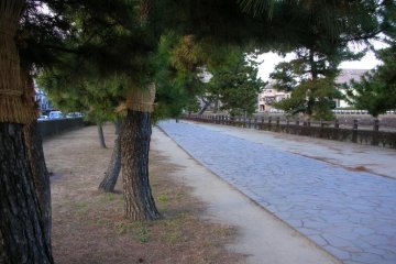 Nikko Kaido near Soka