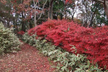 Colors exploding