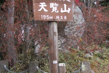 The summit