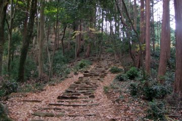 <p>More stairs near the top</p>