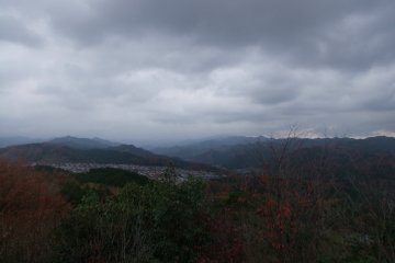 <p>View from the peak</p>