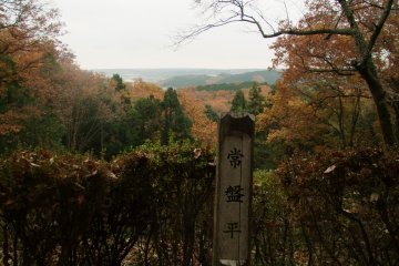 <p>Scenic viewpoint</p>