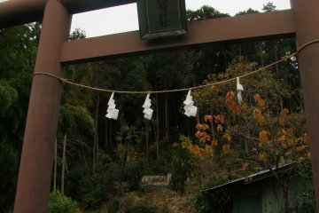 <p>Look for this torii from the bus stop to begin the hike</p>