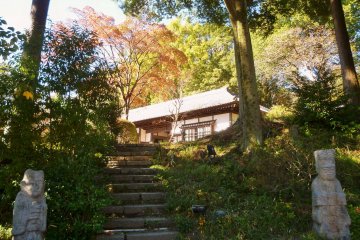 <p>The grounds of the museum are spacious and lovely.</p>