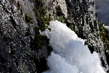 <p>Moss on the rock was almost covered with snow</p>