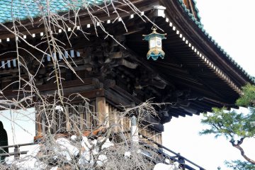 <p>Beautiful main gate of Shougenji Temple seen from inside. Bare weeping cherry tree adds to the scenery.</p>