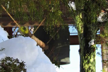 <p>Snow, green trees and the temple bell</p>