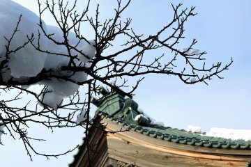 <p>Snow on a branch with a temple roof in the background</p>