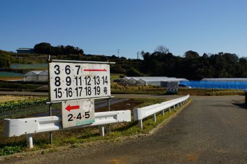<p>The entryway to the strawberry greenhouses. Follow me this way to #16!</p>