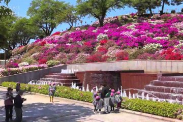 Taman Nishiyama, Surganya Azalea