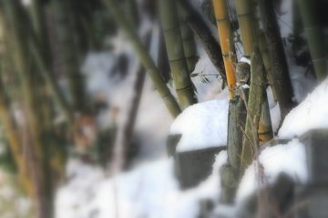 <p>Especially, I love this jizo statue standing silently in the cemetery!</p>