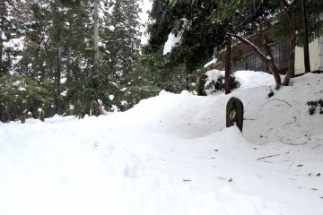 <p>The narrow pathway to visit all thirty-three Kannon statues was gone...buried in snow!</p>