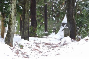 <p>Looking at Kannon statues beside the invisible pathway in the snow-buried woods</p>