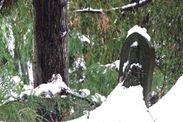 <p>No. 32 Kannon statue at the foot of a tree buried in snow</p>