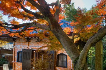 <p>Le b&acirc;timent Ky&ocirc;z en automne</p>
