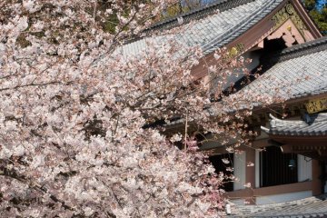 <p>Le b&acirc;timent Kannon-do au printemps</p>
