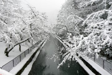 Salju Sepanjang Kanal Biwako