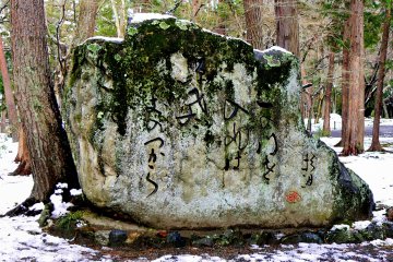 <p>Inscribed rock among the trees</p>