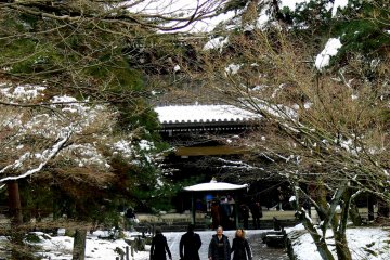 <p>Temple visitors walk along the wet path</p>