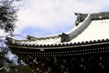 <p>Graceful curve of a roof</p>