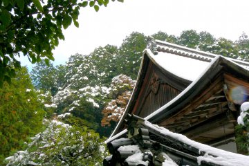 <p>A collection of angles outlined in white</p>