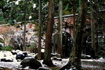 <p>The aqueduct glimpsed through the trees</p>
