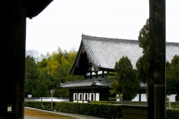 <p>A little snow still rested in the hollows between the roof tiles</p>
