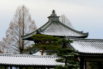 <p>Different levels of roof</p>