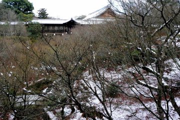 <p>So different from autumn's blaze of glorious color!</p>