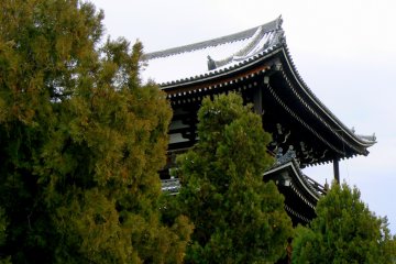 <p>Temple building rising above evergreen trees</p>