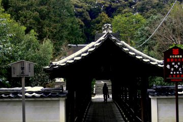 <p>A lone figure walking through the covered bridge &nbsp;</p>
