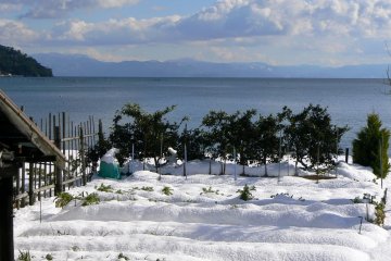 Rangées de potager sous la couche de neige