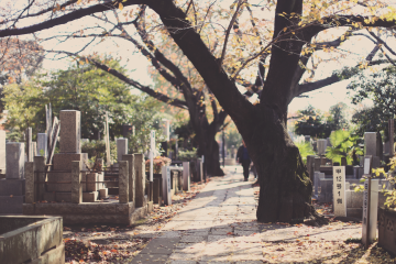 Yanaka, Tokyo
