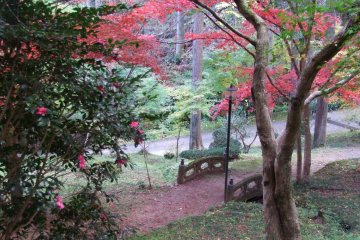 <p>Saitama's scenic mountains &nbsp;</p>