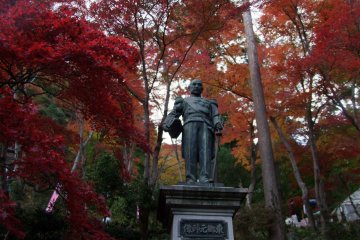 <p>Standing tall and proud</p>