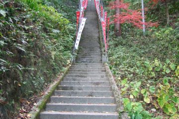 <p>A long, long climb</p>