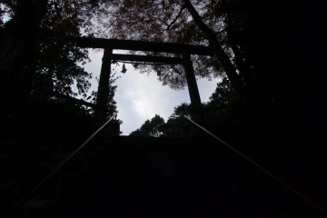 <p>Atop the mountain</p>