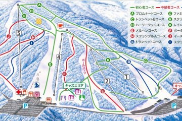<p>Resort map</p>