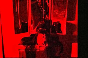 The House of Shivers