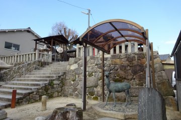 <p>The deer covered by the carport to protect it from acid rain.</p>