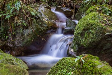 Satu dari banyak air terjun