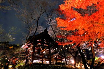 Lit-up Garden of Hotel New Takanawa