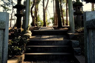 <p>A stone torii standing over a path into the trees</p>