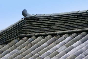 平等院的惊鸿一瞥