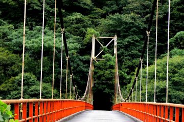 <p>This old suspension bridge has nothing on the other side</p>