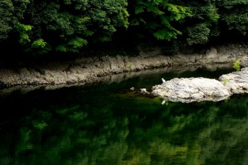 <p>Reflections in smooth water &nbsp;</p>